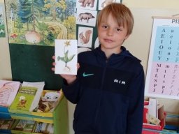 projektova vyuka 3